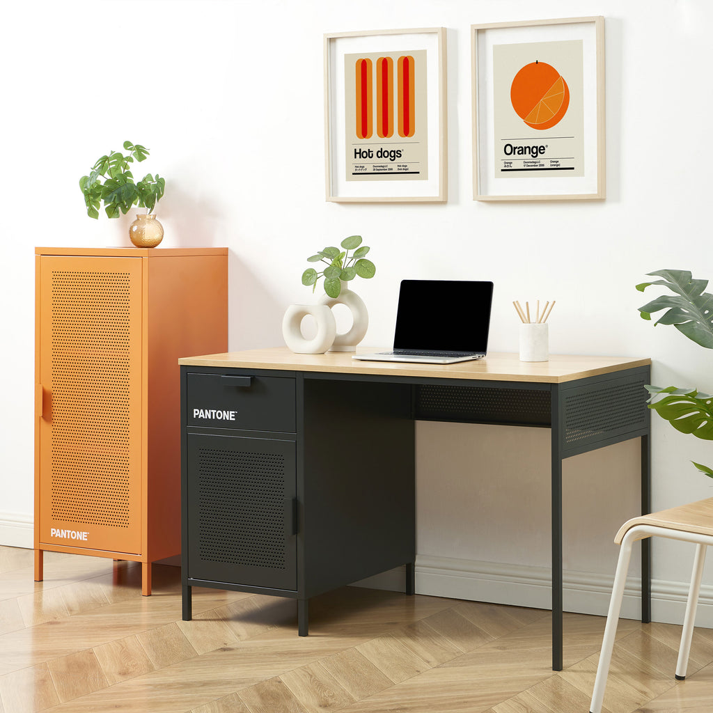PANTONE® Metal Desk
