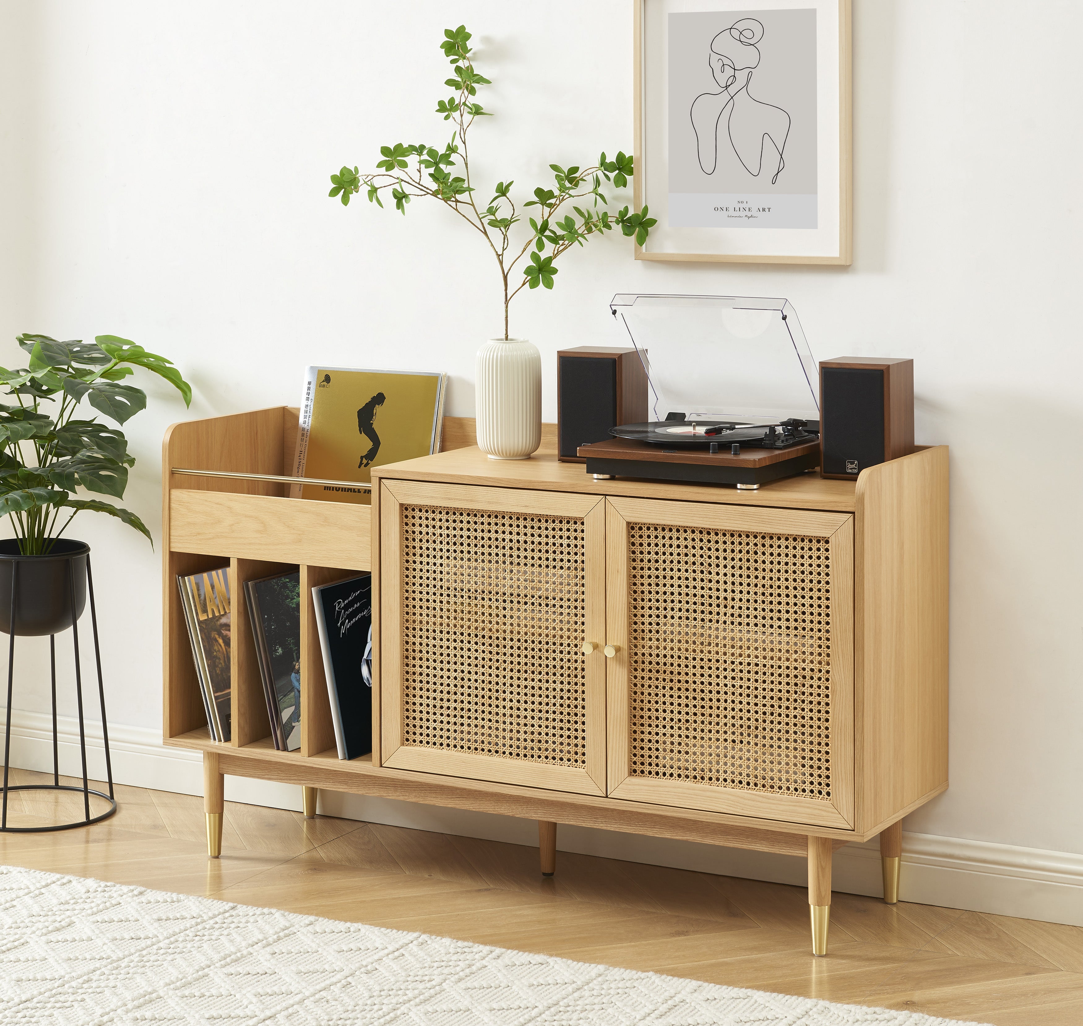 LEON Wood Veneer Vinyl Cabinet