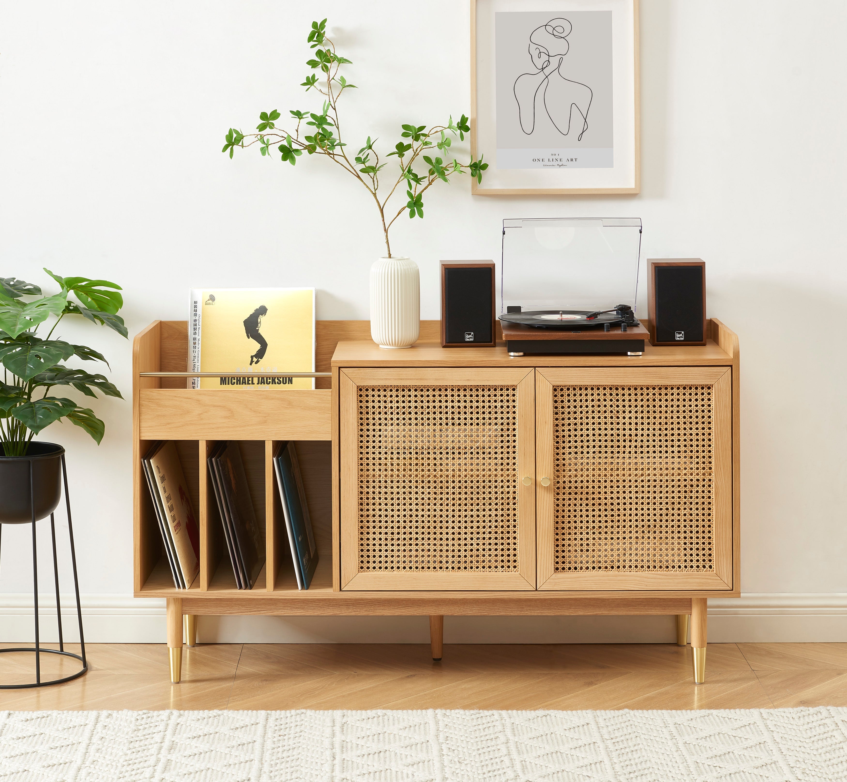 LEON Wood Veneer Vinyl Cabinet