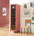 PANTONE® Metal Locker with Fluted Glass Door – Terracotta