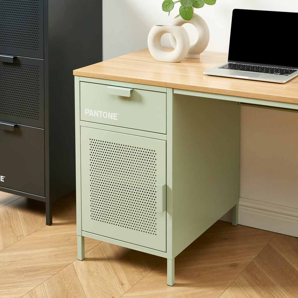 PANTONE® Metal Desk – Almond green