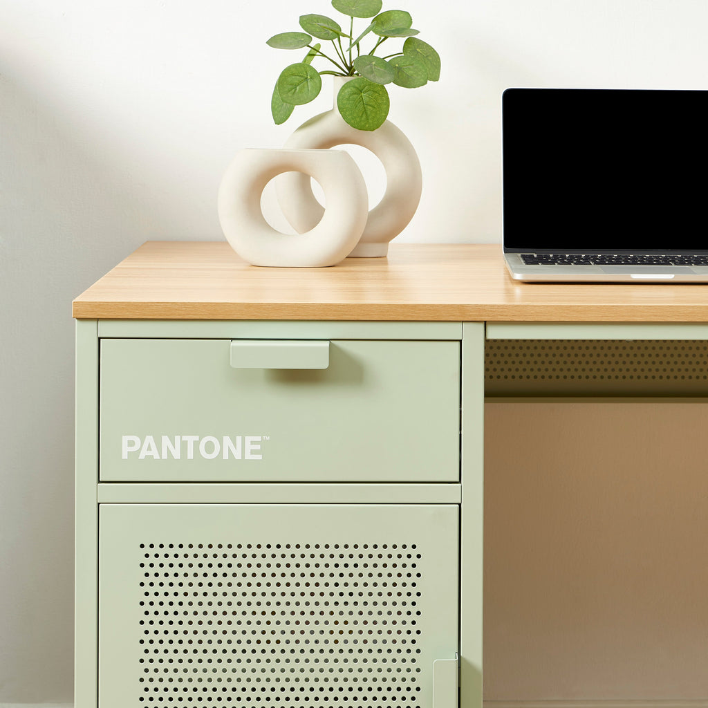 PANTONE® Metal Desk – Almond green