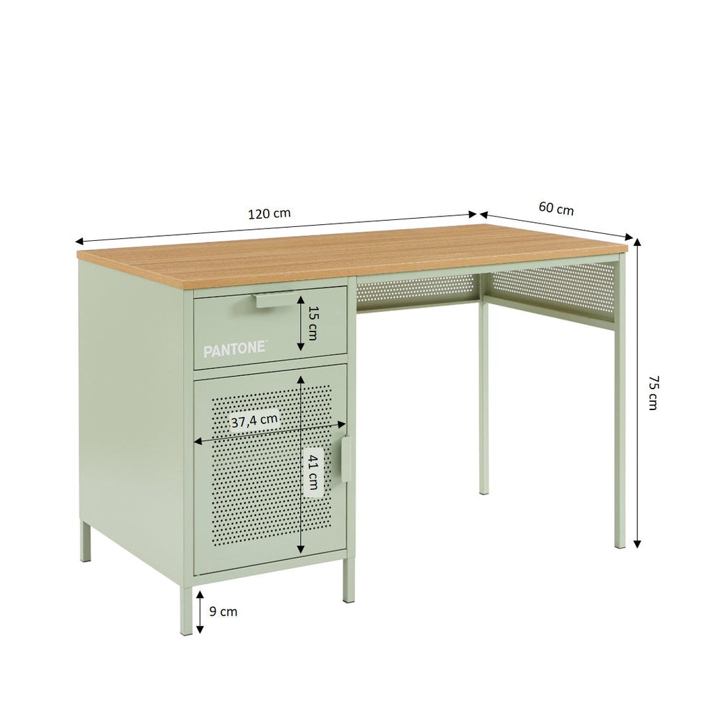 PANTONE® Metal Desk – Almond green