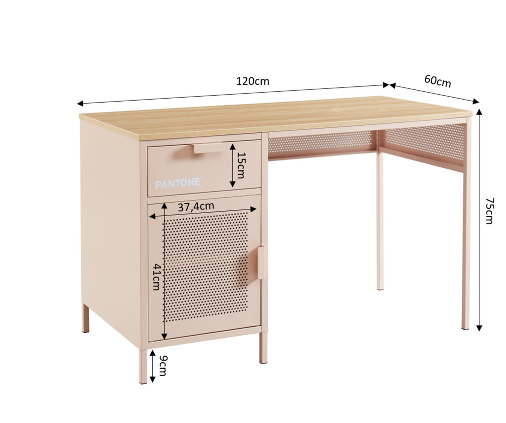 PANTONE® Metal Desk – Pink
