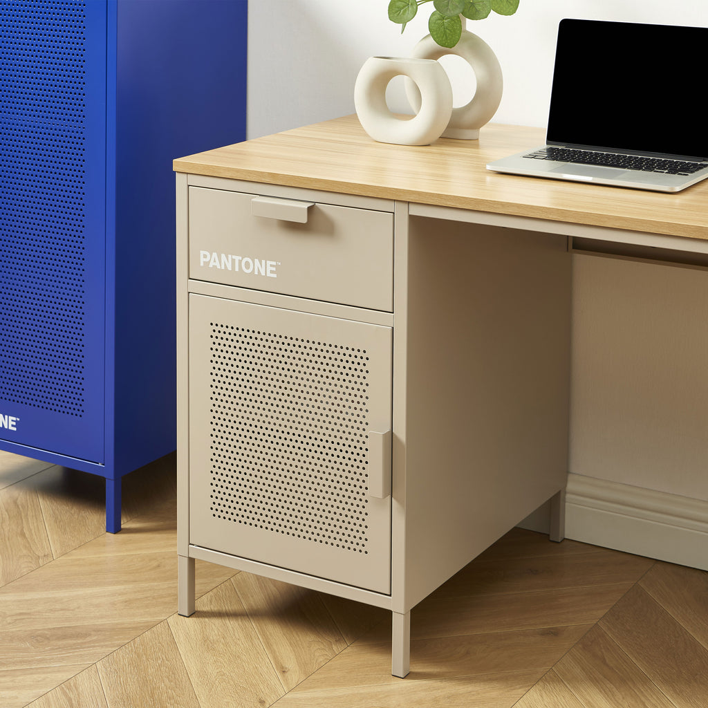 PANTONE® Metal Desk – Taupe