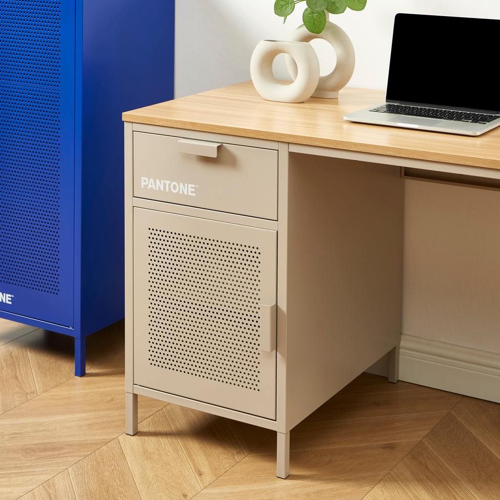 PANTONE® Metal Desk – Taupe