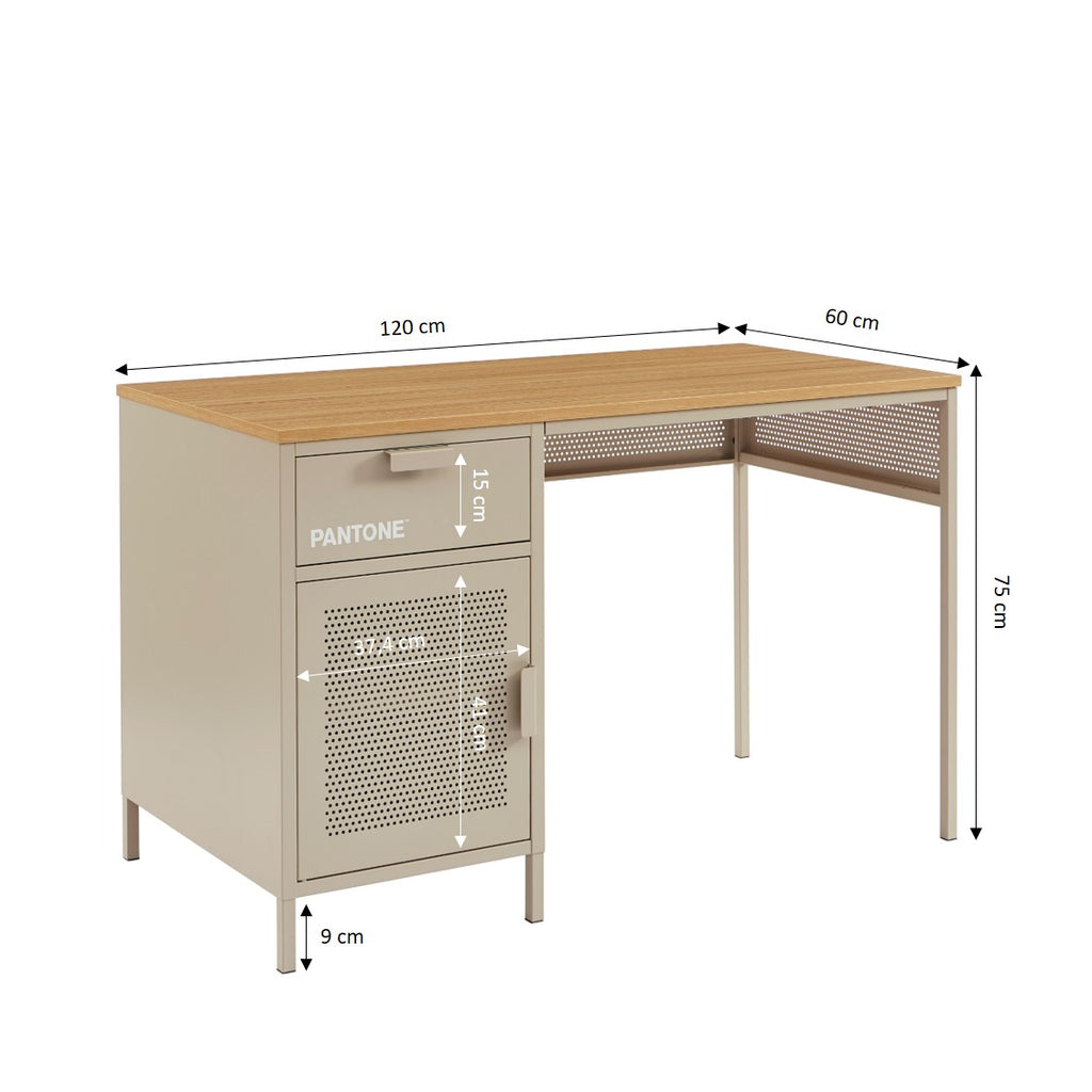 PANTONE® Metal Desk – Taupe