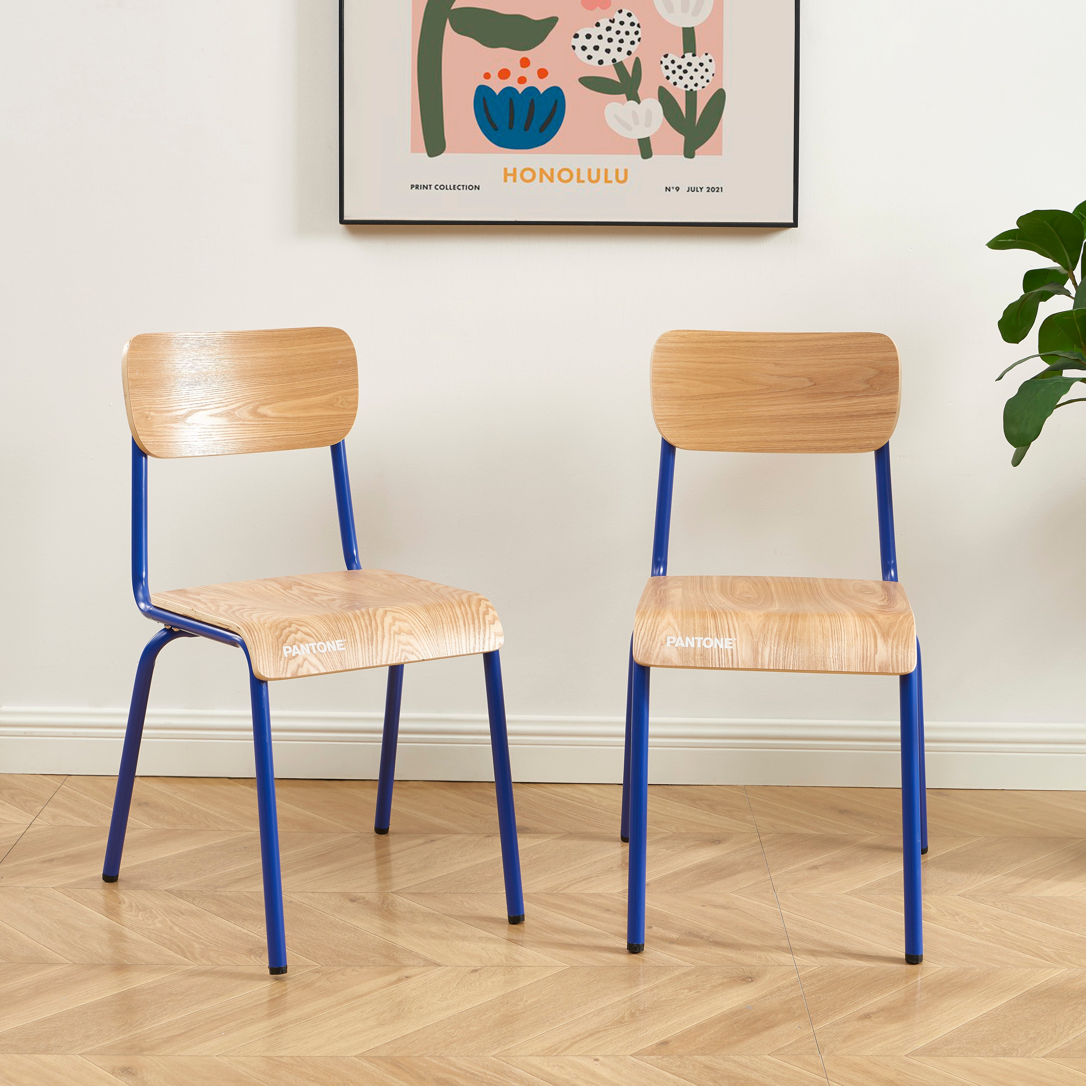 PANTONE® Set of 2 Dining Chairs with Ash Veneer Seat and Metal Legs – Electric blue