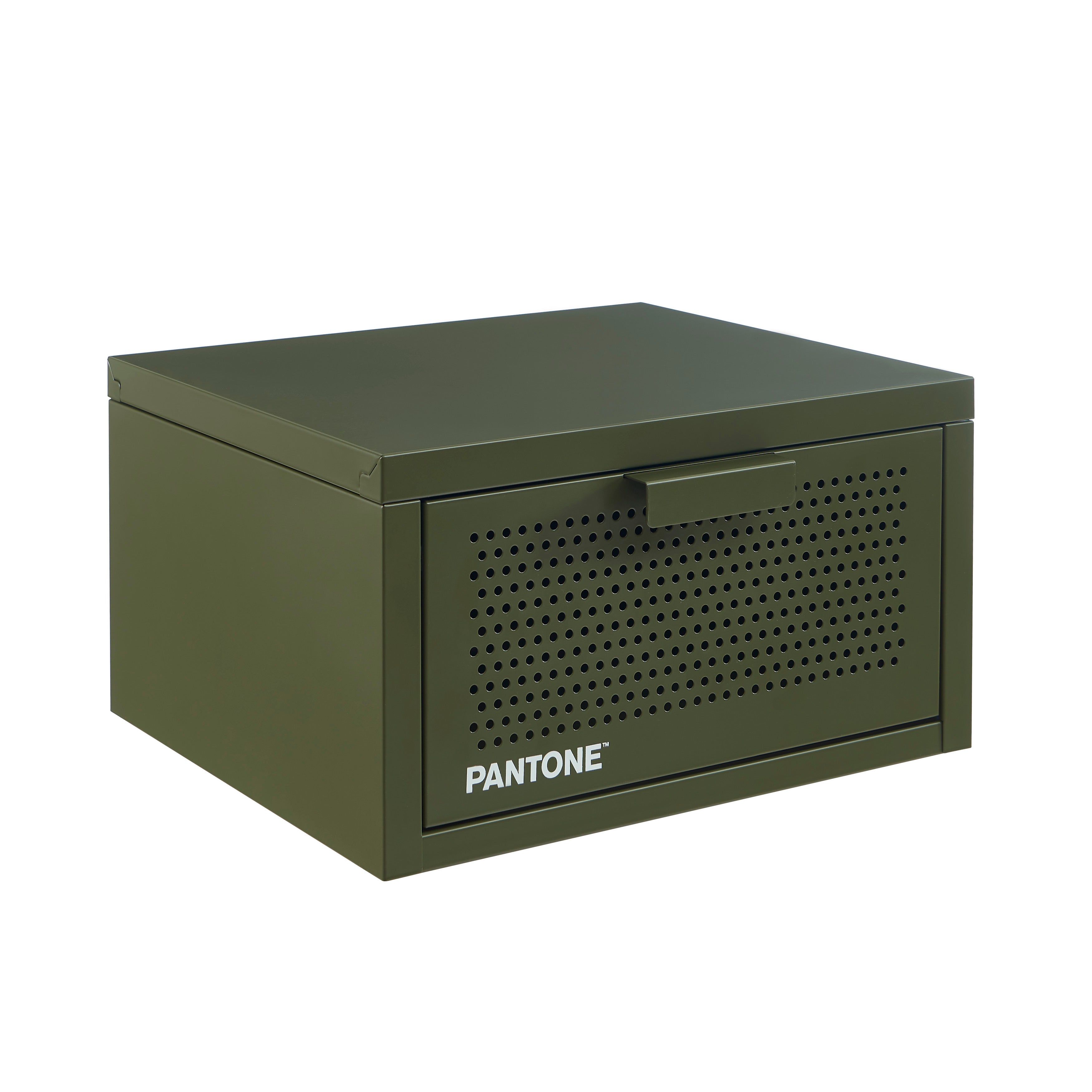 PANTONE® Metal Wall-Mounted Nightstand – Olive green