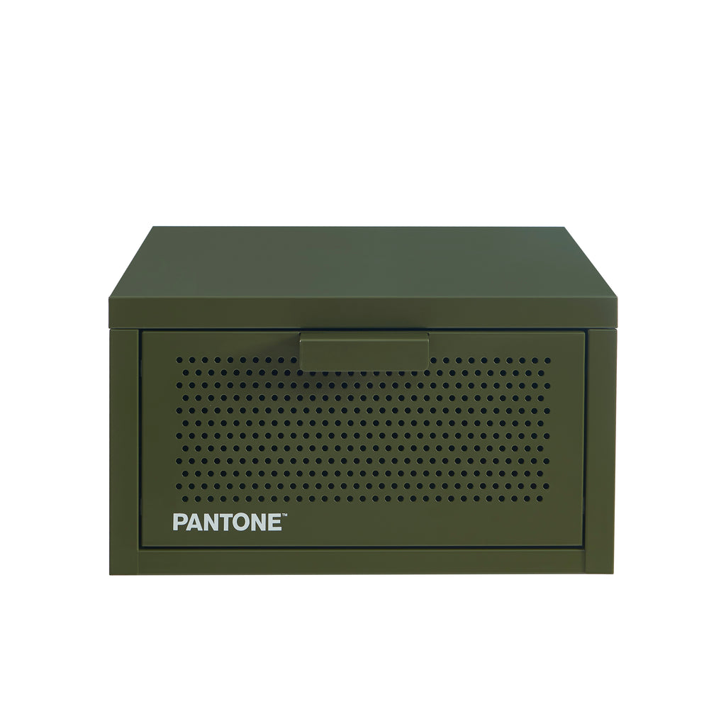 PANTONE® Metal Wall-Mounted Nightstand – Olive green