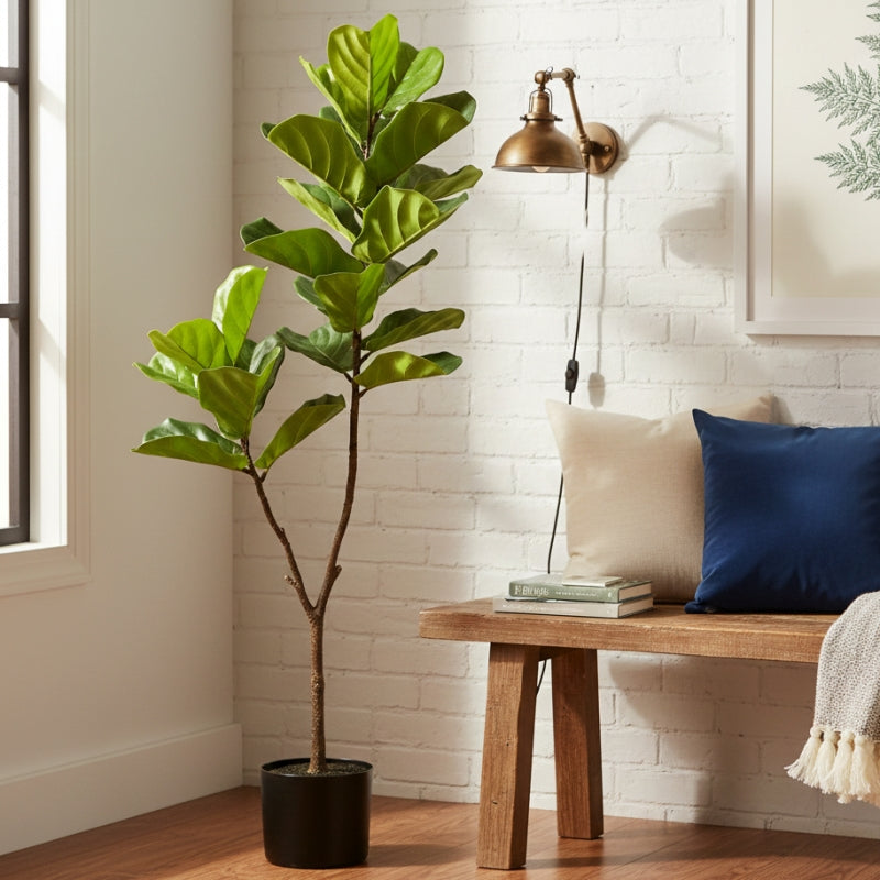 COBO artificial Ficus lyrata