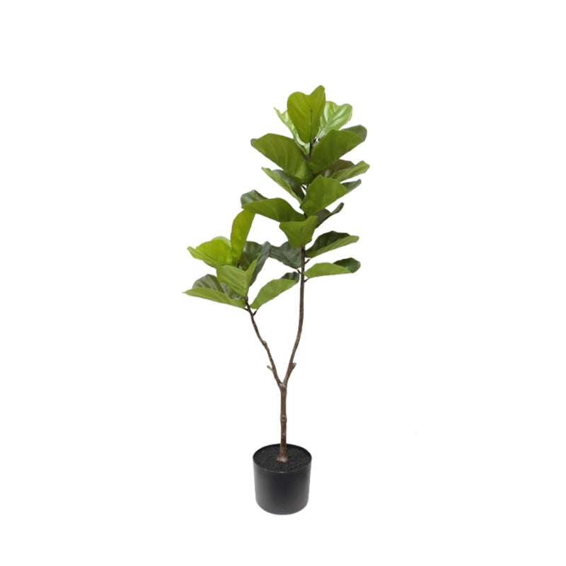 COBO artificial Ficus lyrata